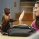 Image for article titled Community returns—unless it doesn’t